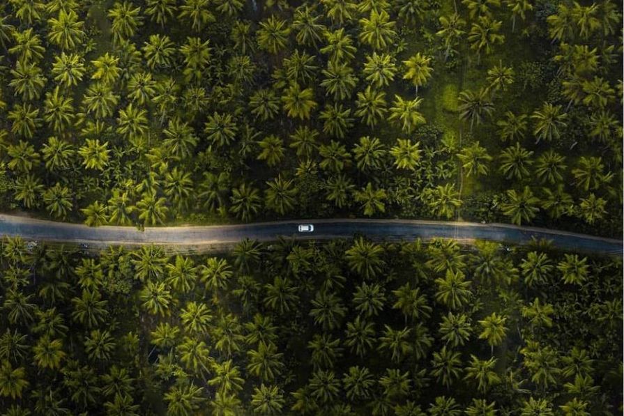 4 Countries Leading Global Change & What You Can do to Help