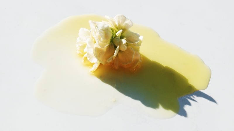 FIVE REASONS YOU SHOULD BE USING OILS