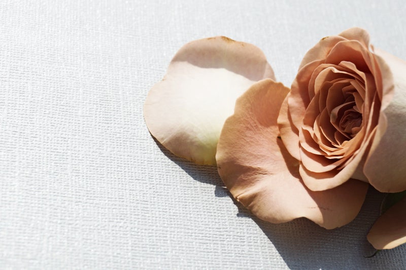 WHY THE TIME-HONORED ROSE IS NATURE’S PERFECT SKINCARE INGREDIENT