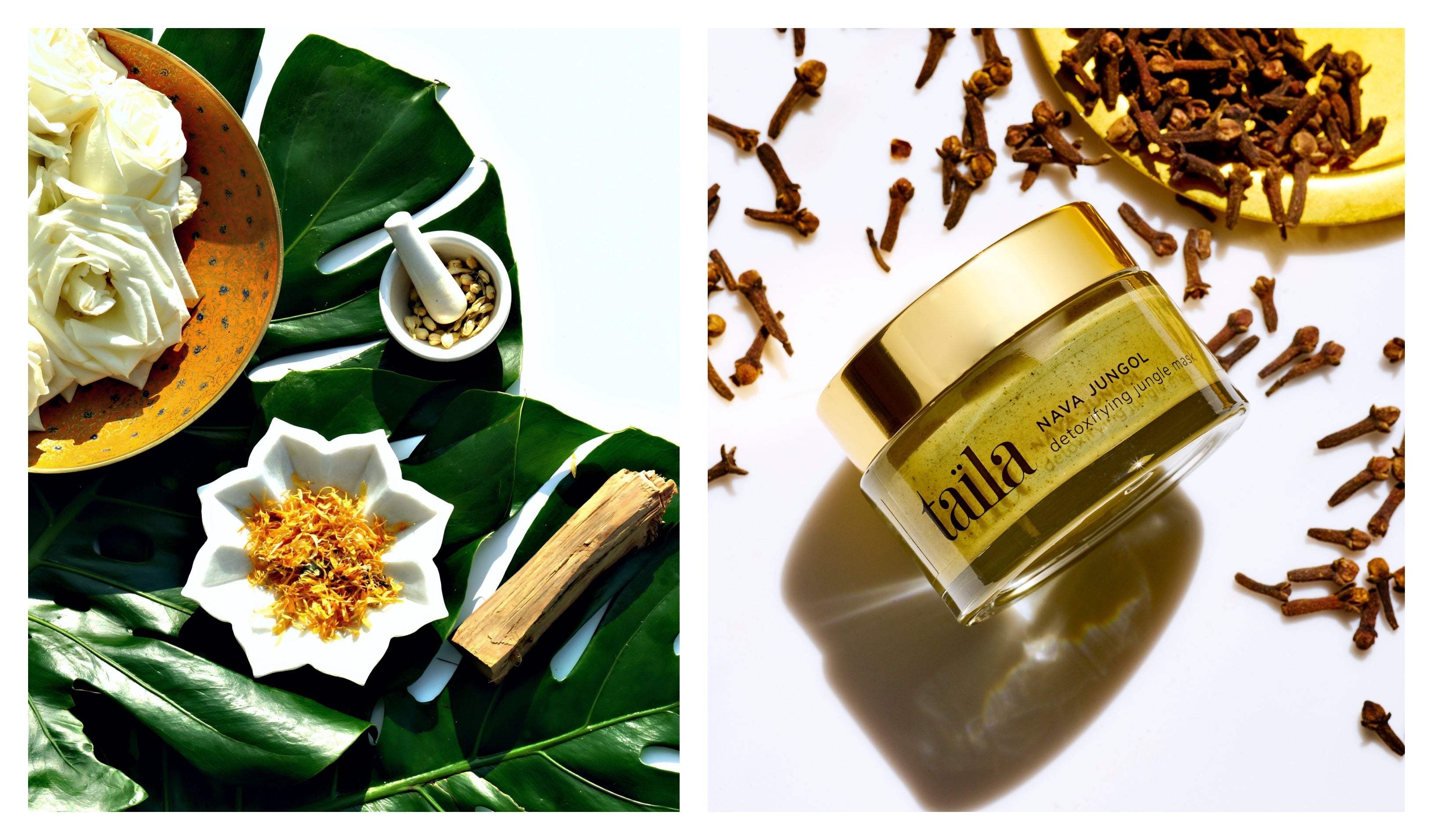 What is Ayurveda? Embrace the Power of Holistic Healing for preserving youth holistically on Taila Skincare's Blog