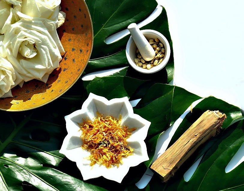 Ayurveda Blog Ingredients