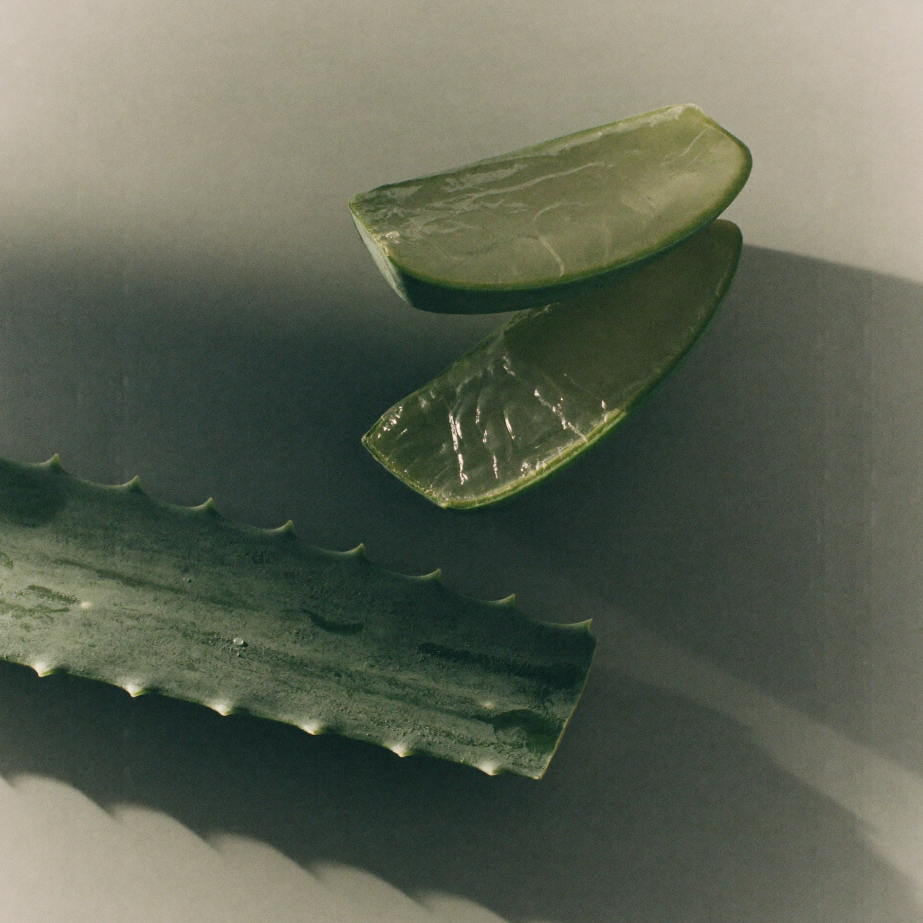 fresh cut raw aloe vera leaf revealing clear, moisture-rich inner gel used as a hydrating base in clean luxury Ayurvedic skincare.