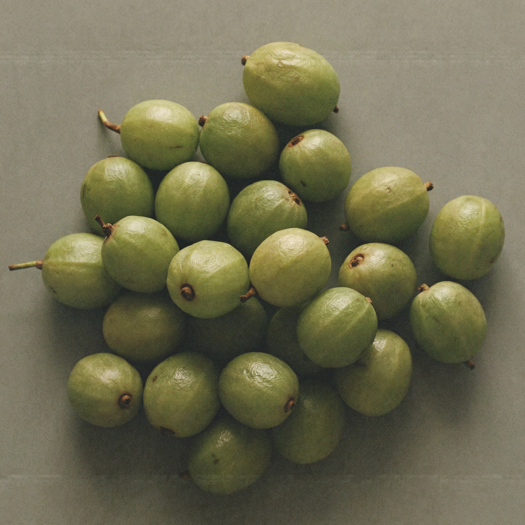 Fresh amla berries, an antioxidant-rich Ayurvedic skincare ingredient known for supporting collagen production and protecting skin from oxidative stress.
