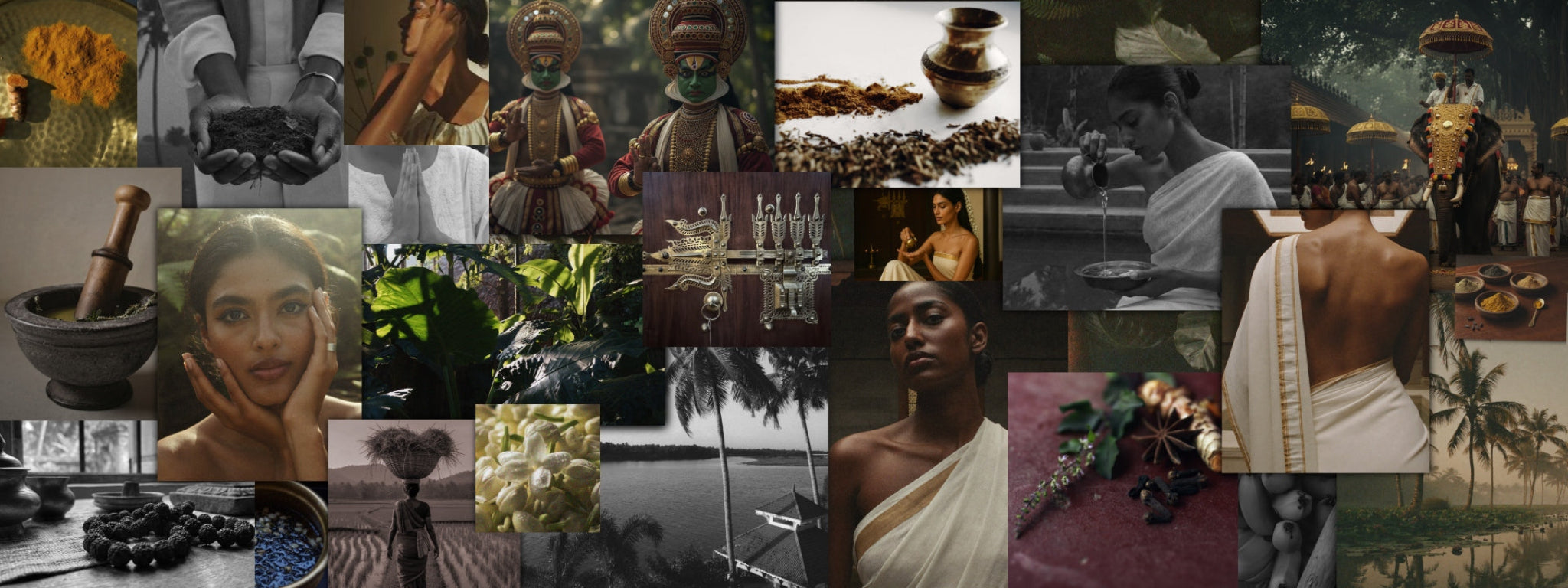 An elegant visual collage introducing the Beauty of Ayurveda, combining imagery of fresh, raw botanical herbs, traditional heritage preparation tools, and a modern luxury Ayurvedic skin health ritual by taïla.