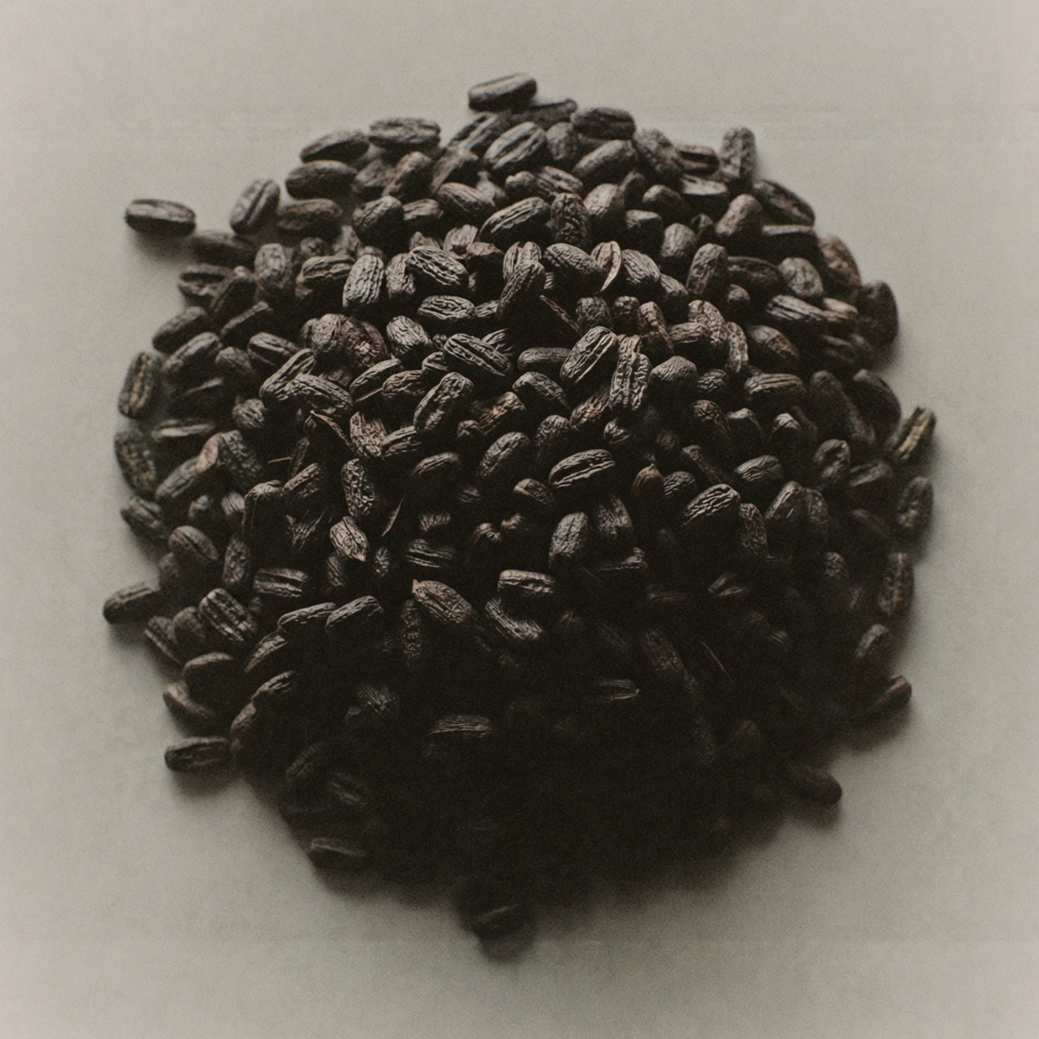 Black cumin seeds, a nutrient-dense botanical ingredient used in skincare to soothe irritation and support a healthy-looking complexion.