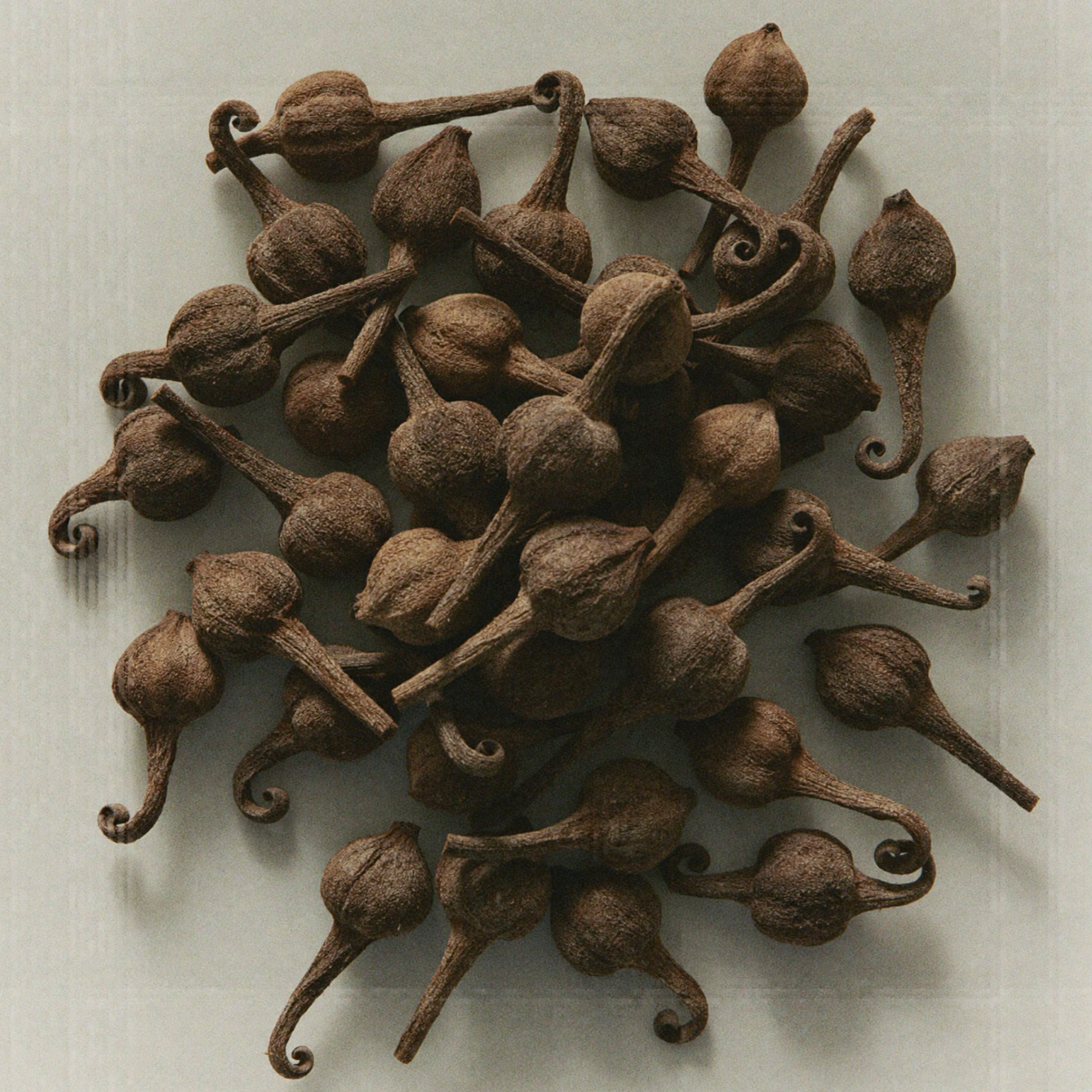 Whole clove buds, an Ayurvedic skincare ingredient known for supporting gentle exfoliation and promoting healthy circulation.