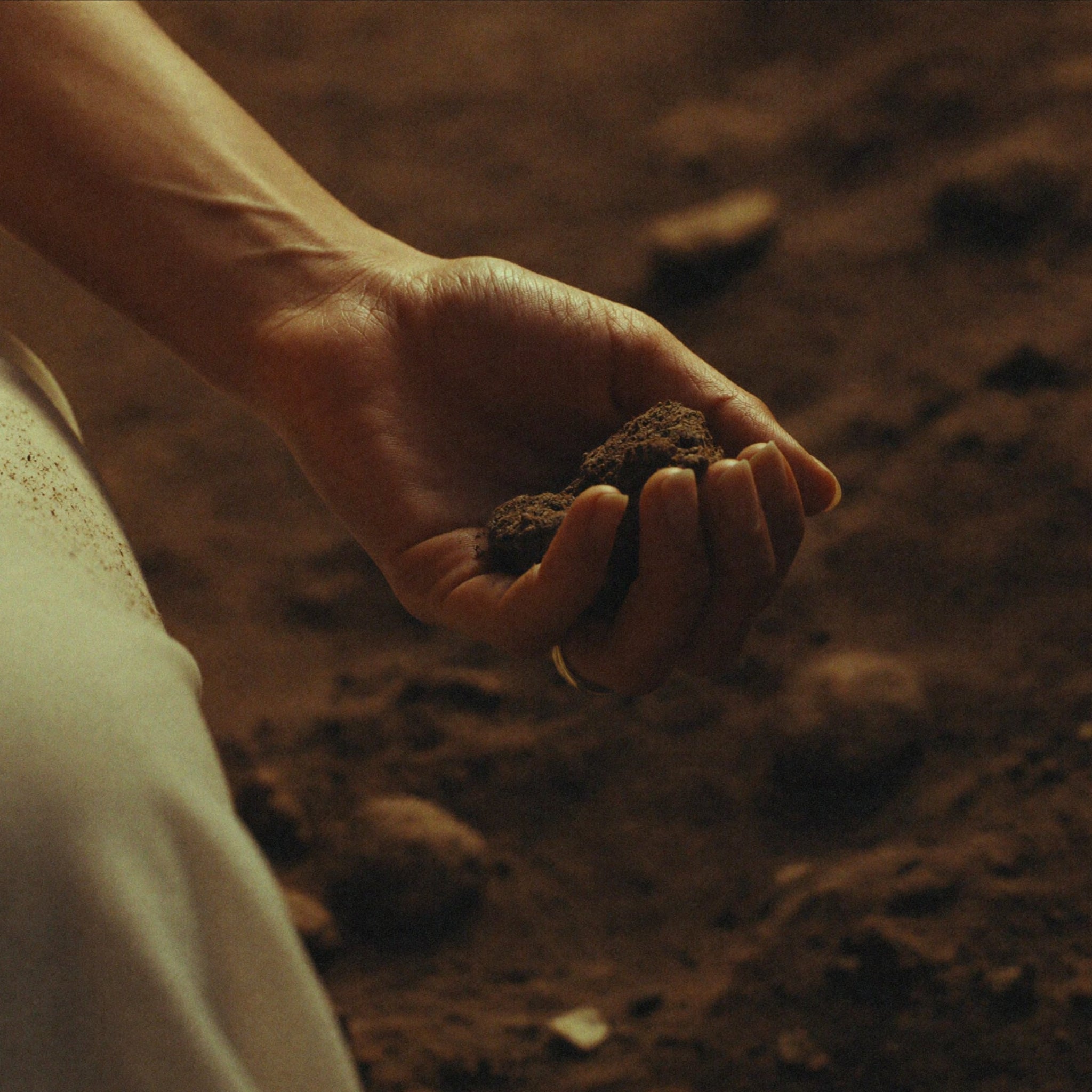 A serene close-up photograph of a hand gently cradling dark, rich, fertile soil, perfectly embodying the taïla Mūla philosophy of root-to-bottle control, organic botanical sourcing, and authentic Ayurvedic lineage.