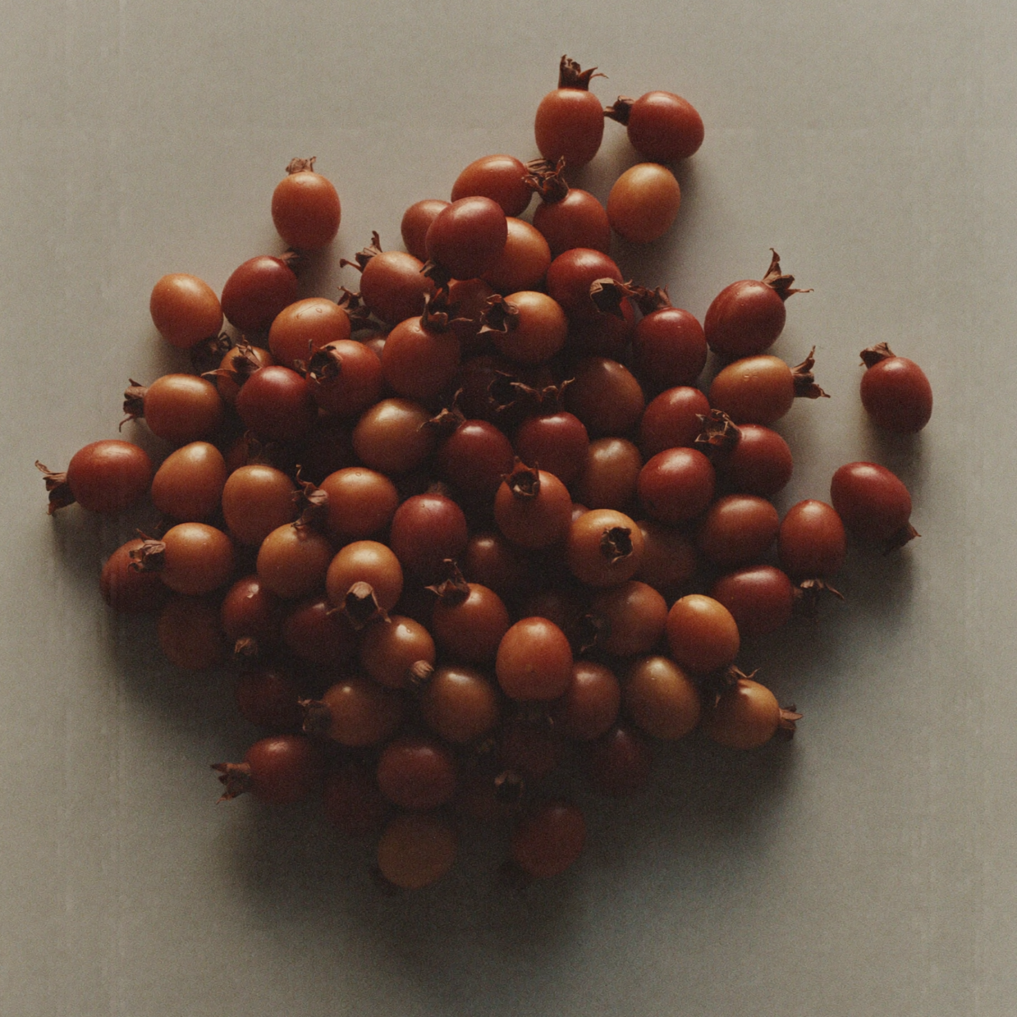 Rosehip berries, a vitamin-rich botanical ingredient known for supporting skin renewal, improving radiance, and reducing the appearance of uneven skin tone.