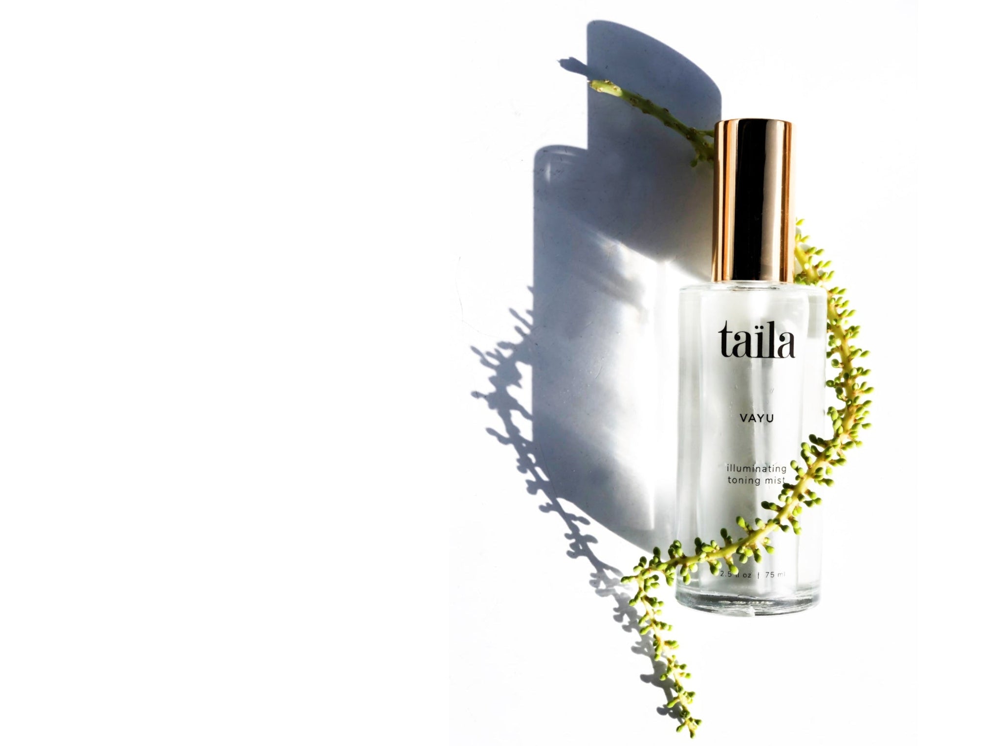 The luxury glass bottle of VAYU Illuminating Toning Mist elegantly wrapped with a fresh, vibrant green botanical vine, highlighting the pure and active plant intelligence used in our Ayurvedic formulas