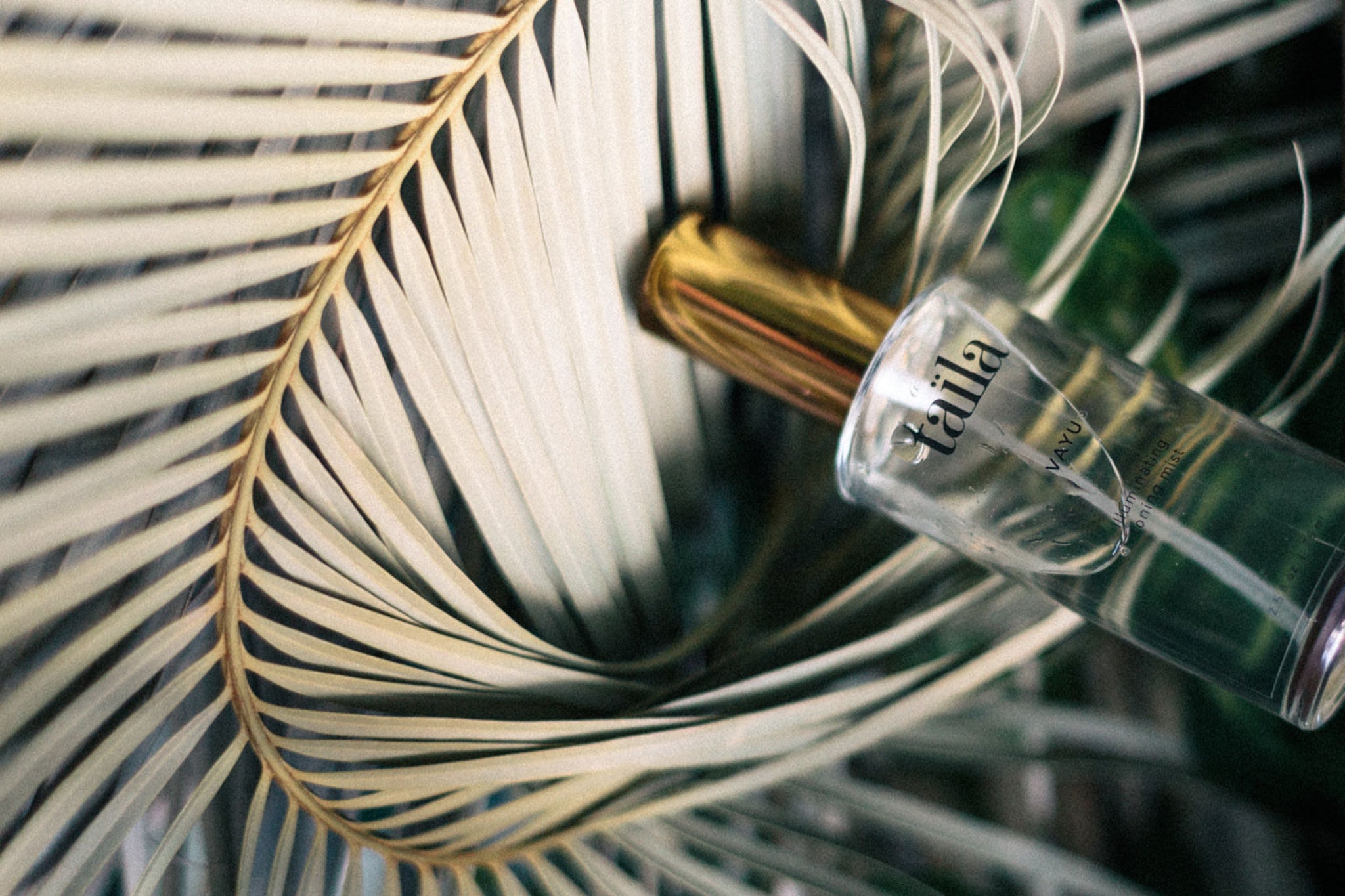 The luxury glass bottle of VAYU Illuminating Toning Mist nestled in vibrant green leaves, capturing the raw botanical purity and antioxidant-rich hydration of traditional Ayurvedic skin rituals.